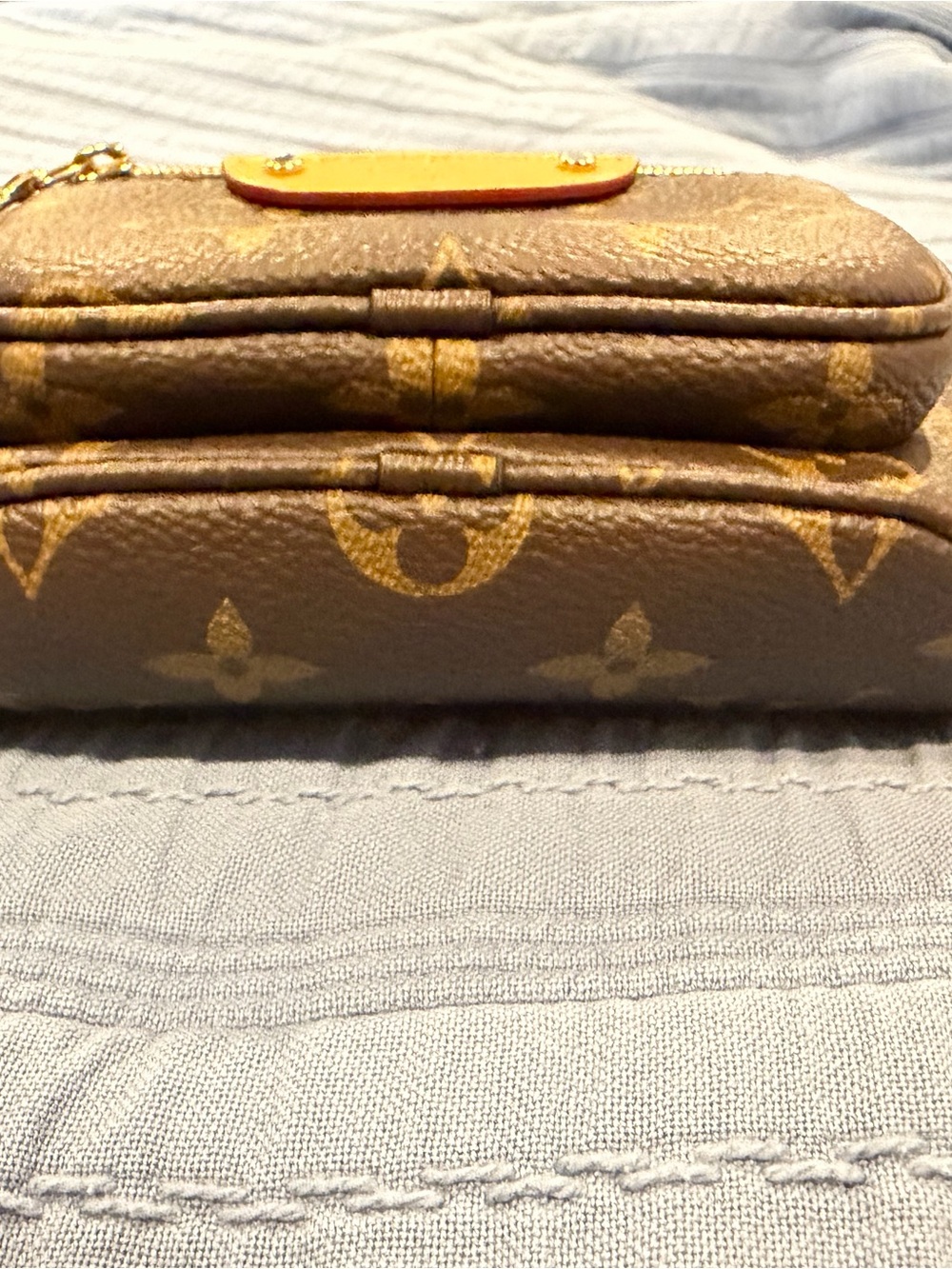 Louis Vuitton Monogram Mini Bumbag - Picture 11 of 13
